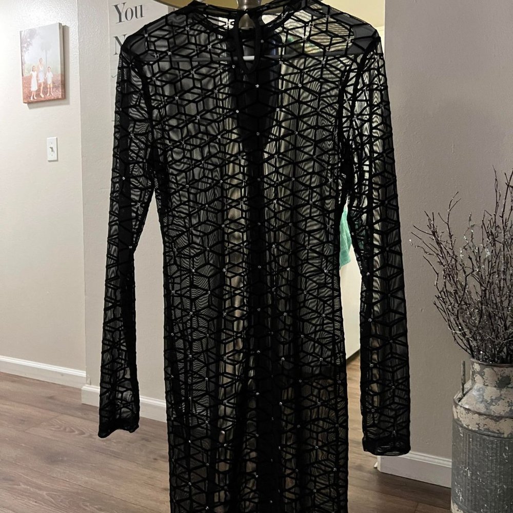 Mesh See Thru Body Con Dress Black